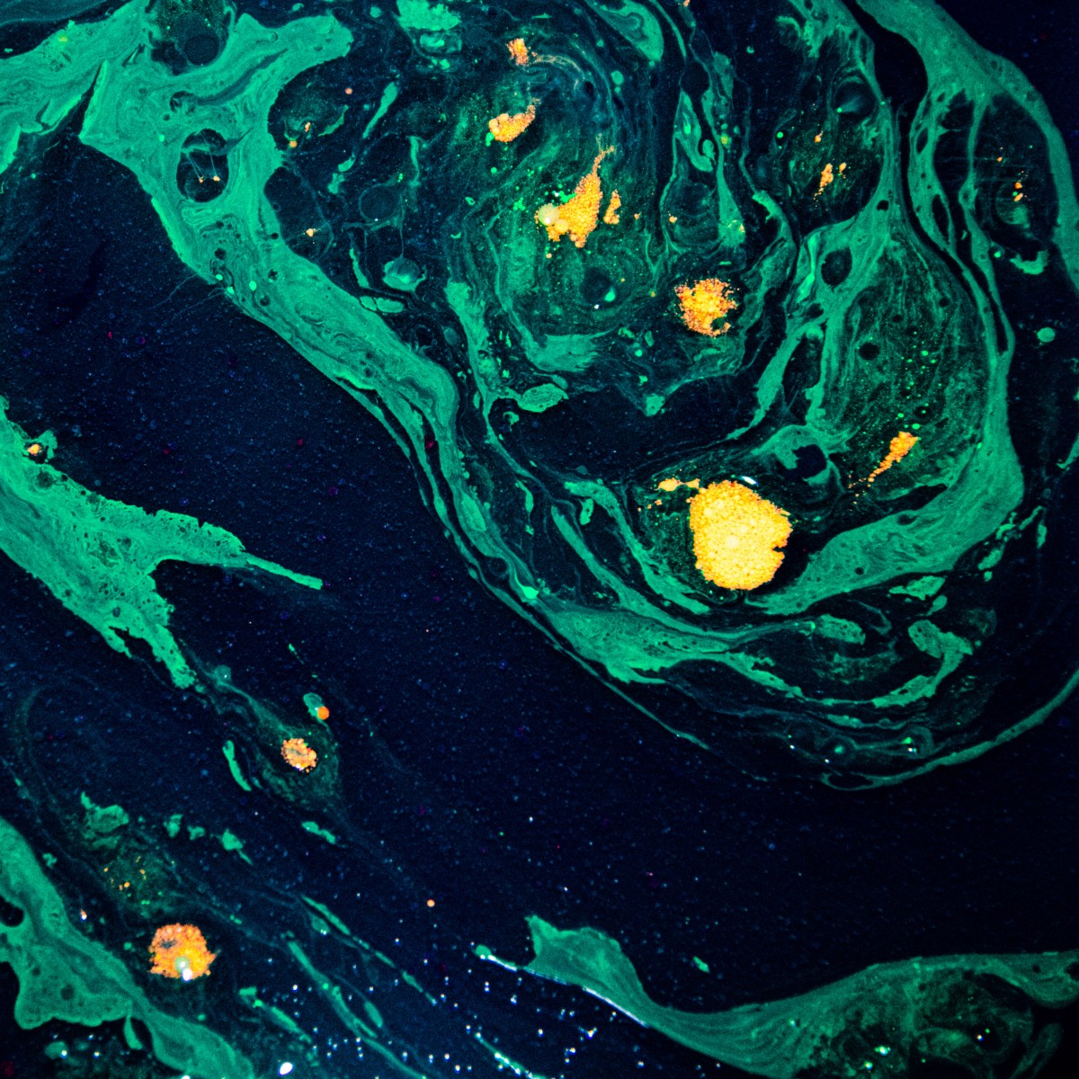 Arcturus – CARBON&nbsp;14